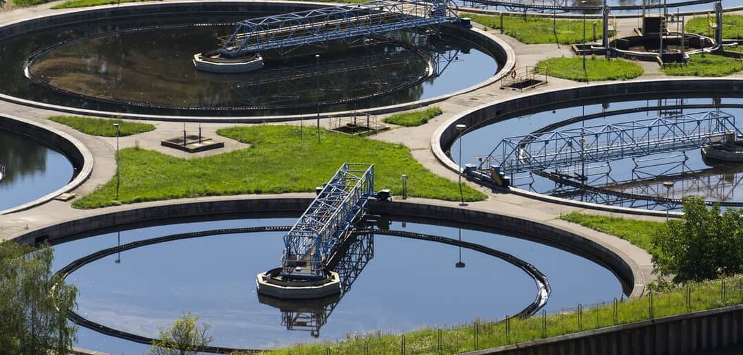 Bacterias en el Tratamiento de Aguas Residuales: El Poder Biológico ...
