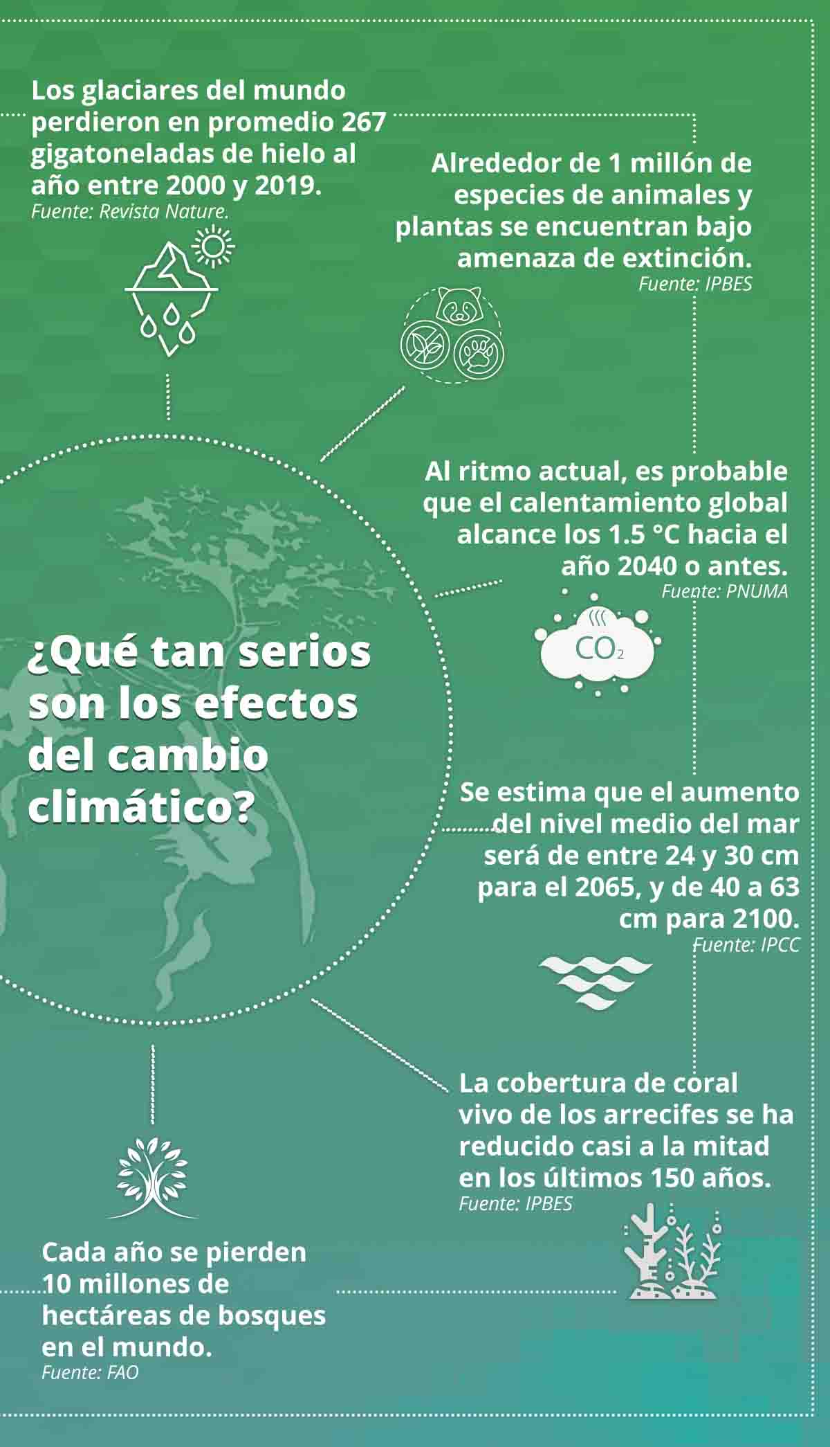 Cambio Climático: Guía Definitiva Para Prevenir y Mitigar sus Efectos ...